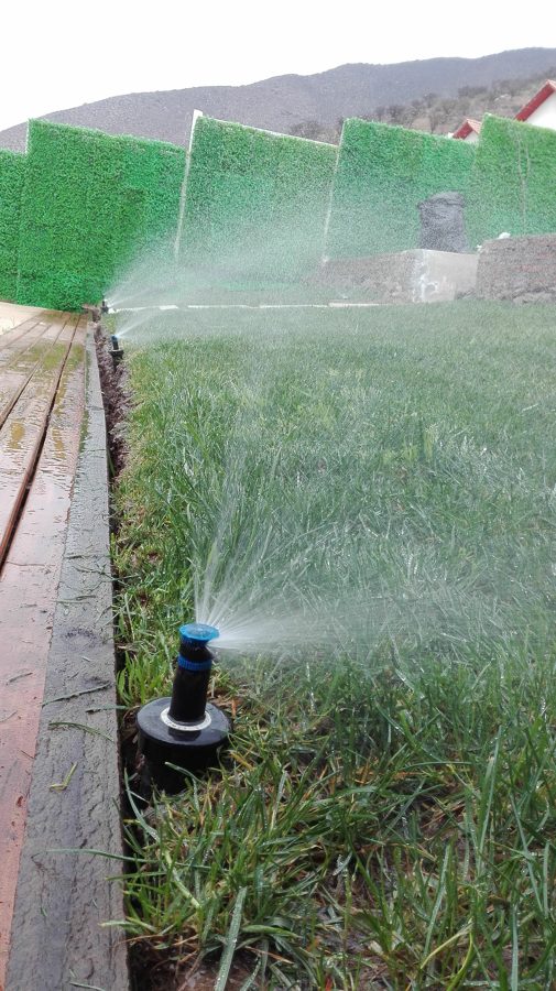 INSTALACIÓN DE SISTEMA DE RIEGO AUTOMATIZADO