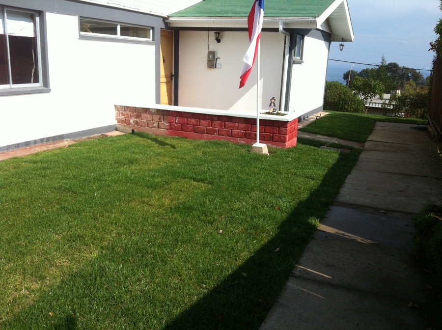 Instalación riego automático, pasto en palmetas.