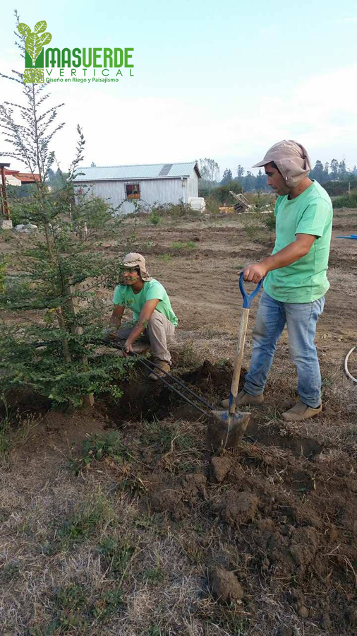 Instalacuín de Plansa 