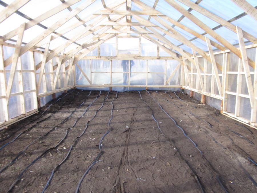 Interior del invernadero