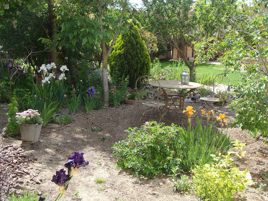 Cómo conseguir un Jardín Sostenible y Fácil de Mantener | Ideas Jardineros