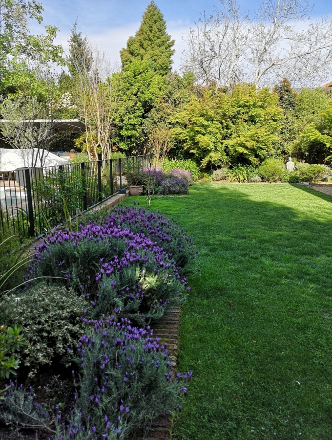 Renovación Jardín | Ideas Jardineros