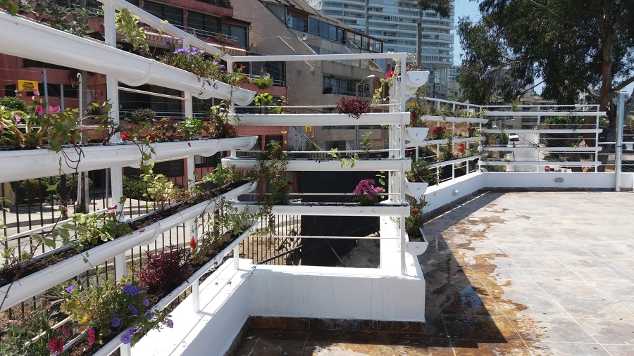 Jardín Vertical | Ideas Arquitectos