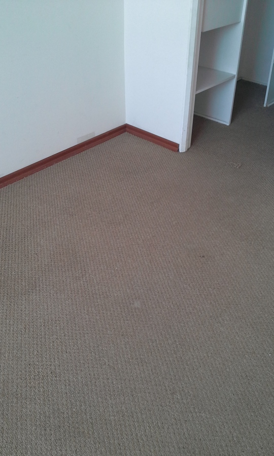 alfombra limpieza lavado de alfombras y pisos ideas limpieza alfombra limpieza lavado de alfombras y pisos ideas limpieza