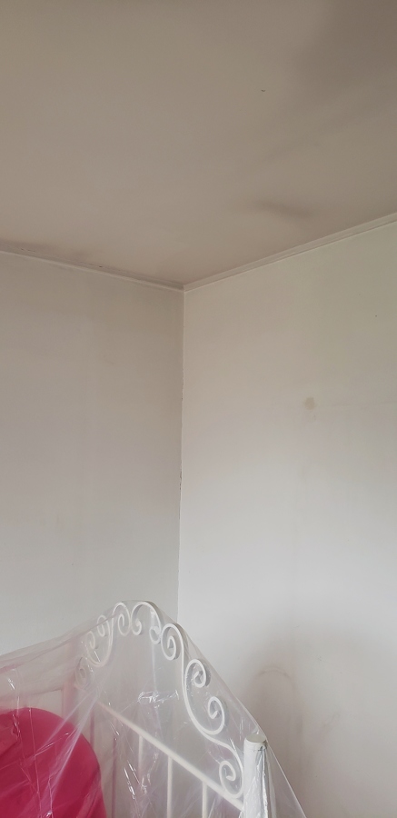 Mal estado de murallas