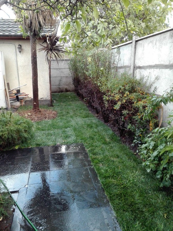 Mantención de jardín casa