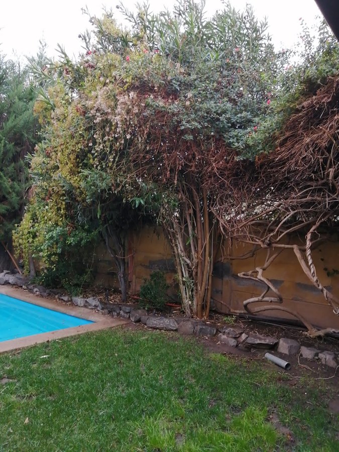 Mantención de jardín casa