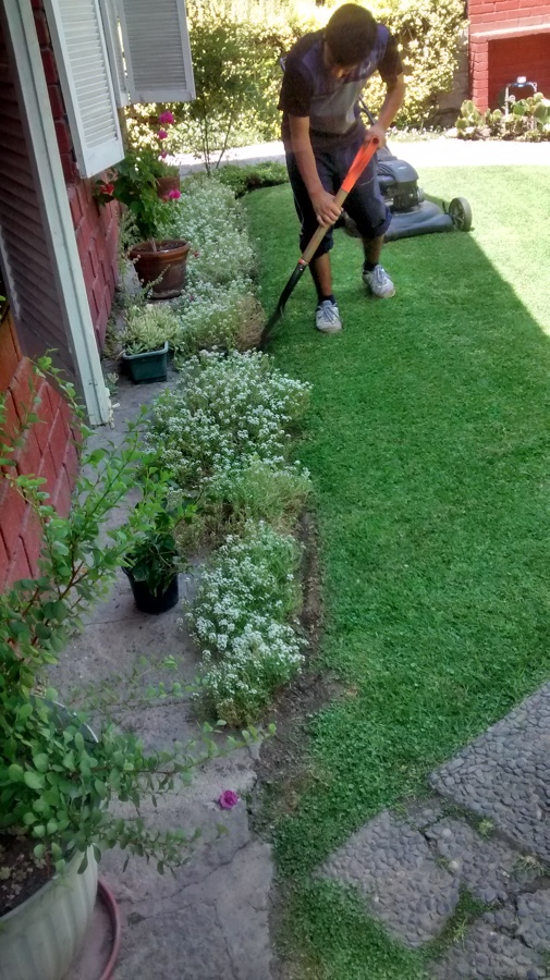 Mantención de Jardinería - Chesterton, Las Condes