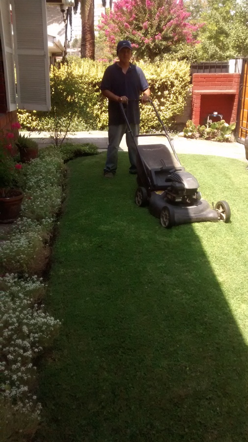 Mantención de Jardines, Chesterton, Las Condes