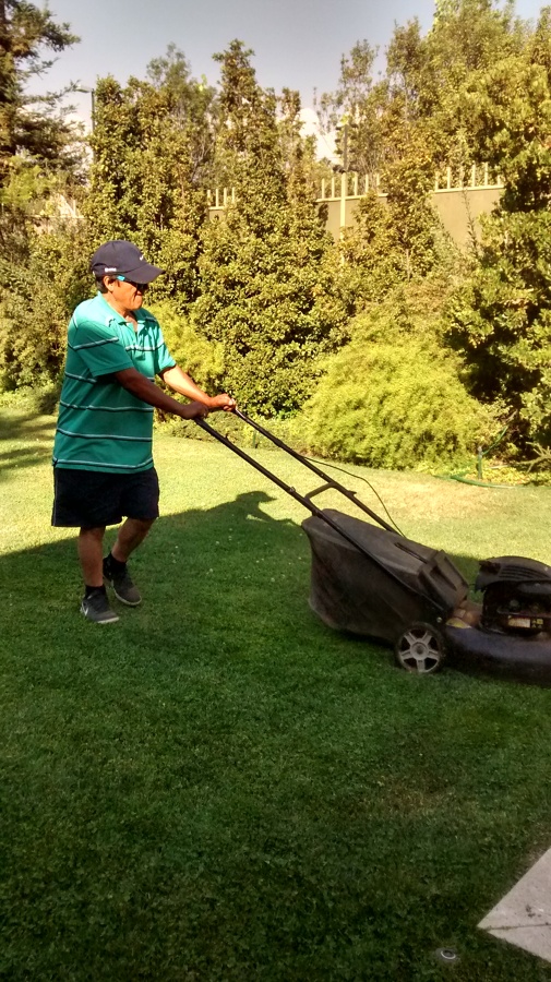 Mantención de Jardines, Pedro Lira Orqueta, Los trapenses