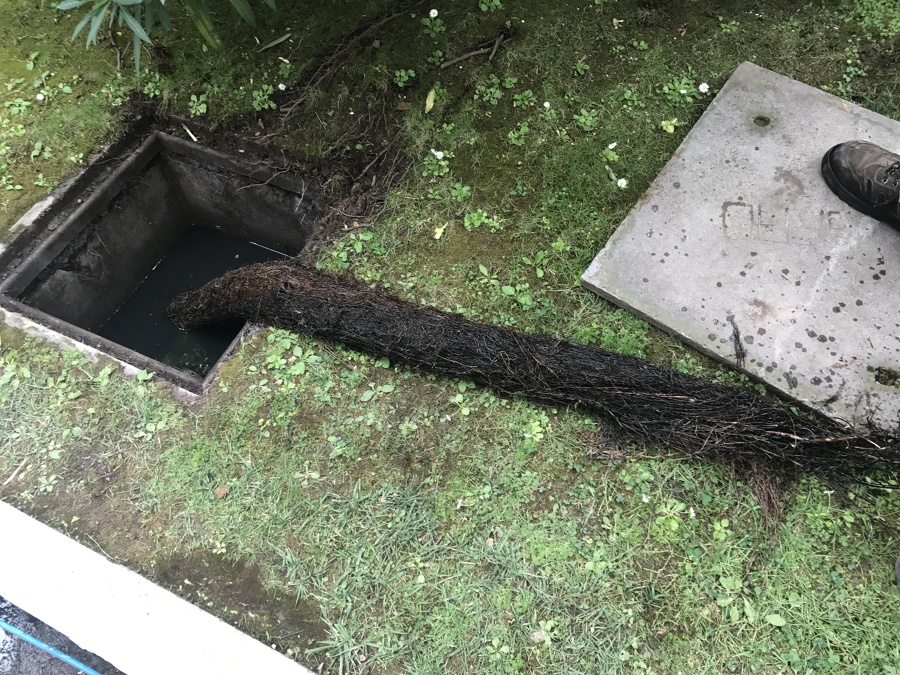 Mantenimiento Drenajes Aguas Lluvias