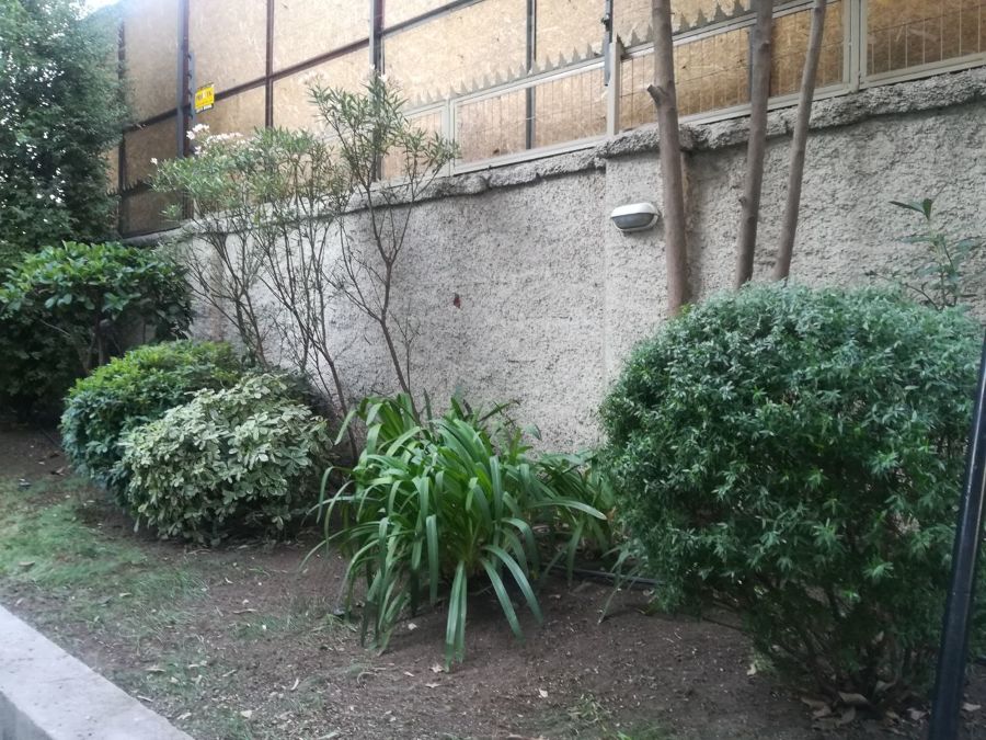 Ornamentación Jardin departamento