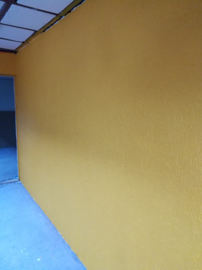 Pintura