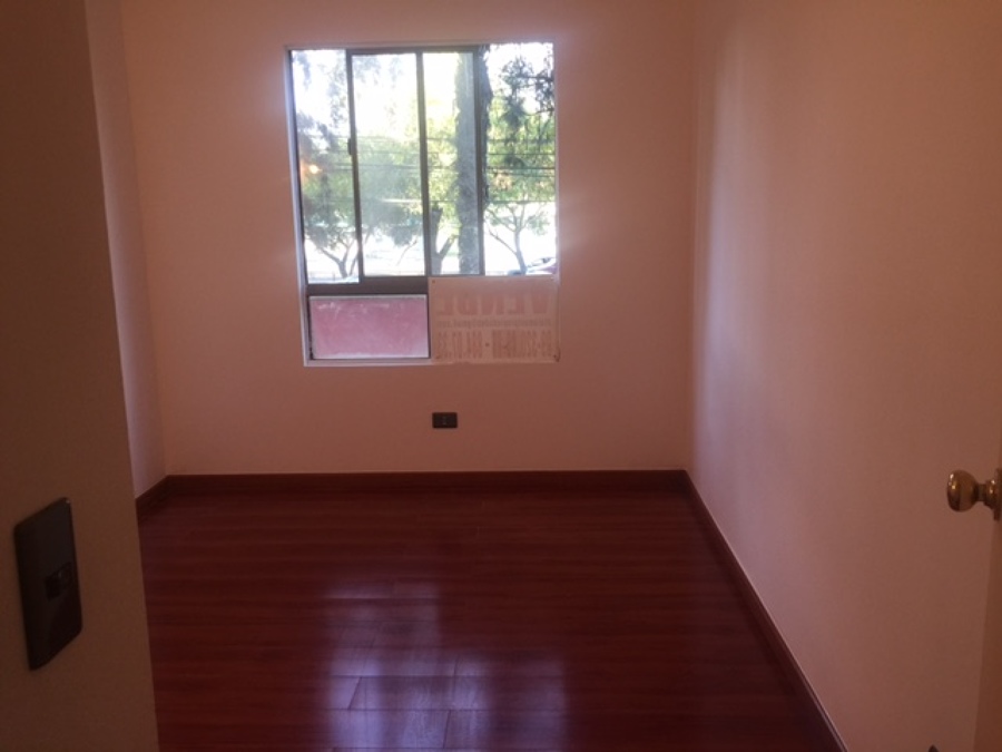 Pintura y Piso flotante