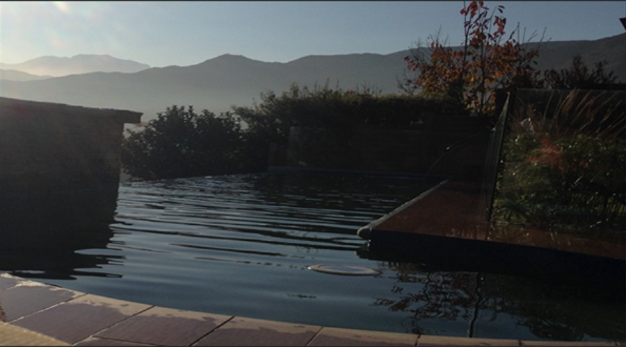 Piscina y entorno del jardin
