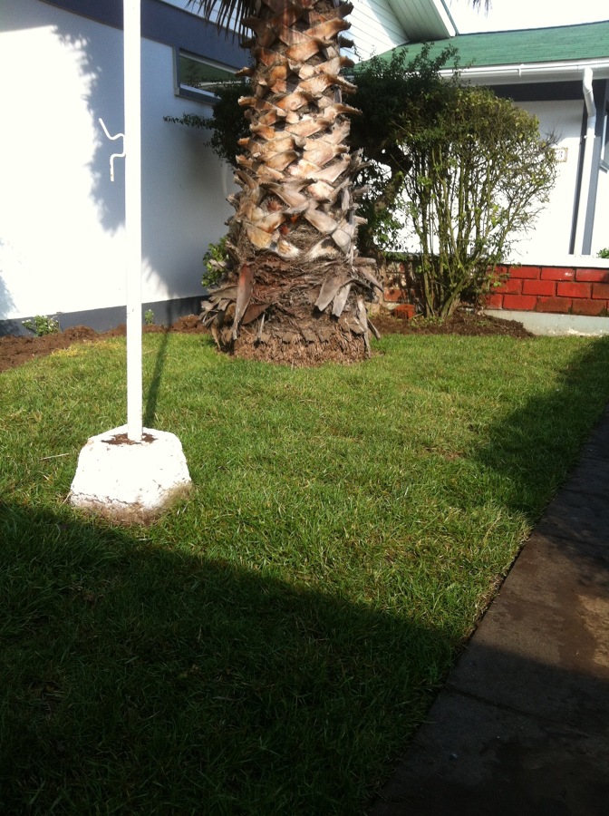 Podas y desmalezados.