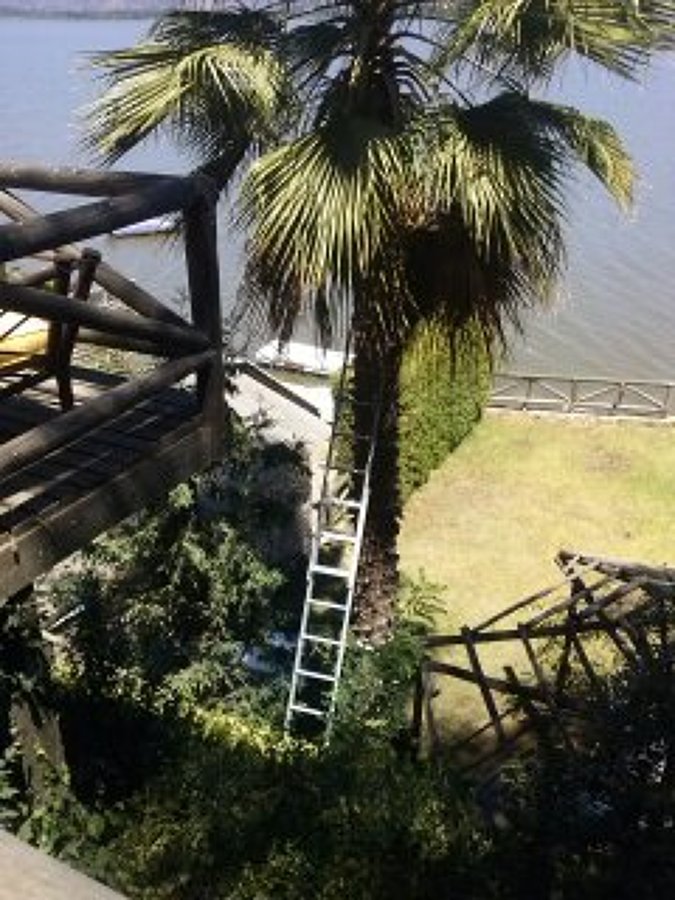 Preparando el Camino