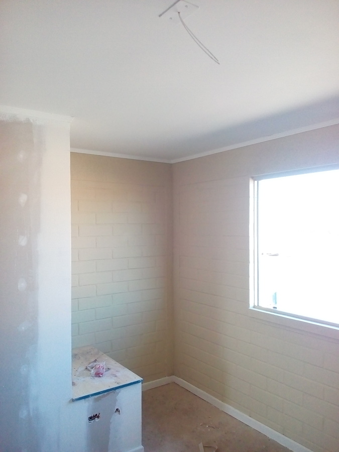 Primera mano pintura