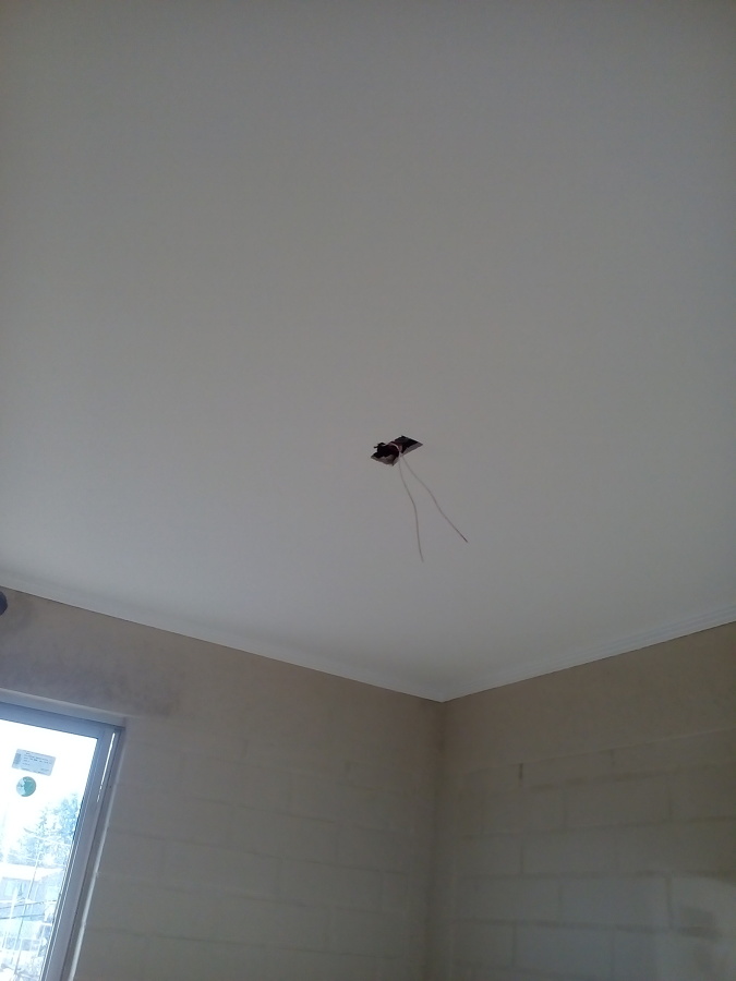 Primera mano pintura