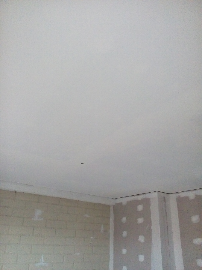 Primera mano pintura