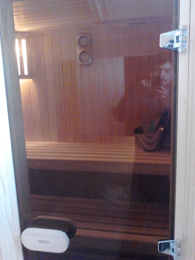 Puerta de Cristal Bronceado Harvia