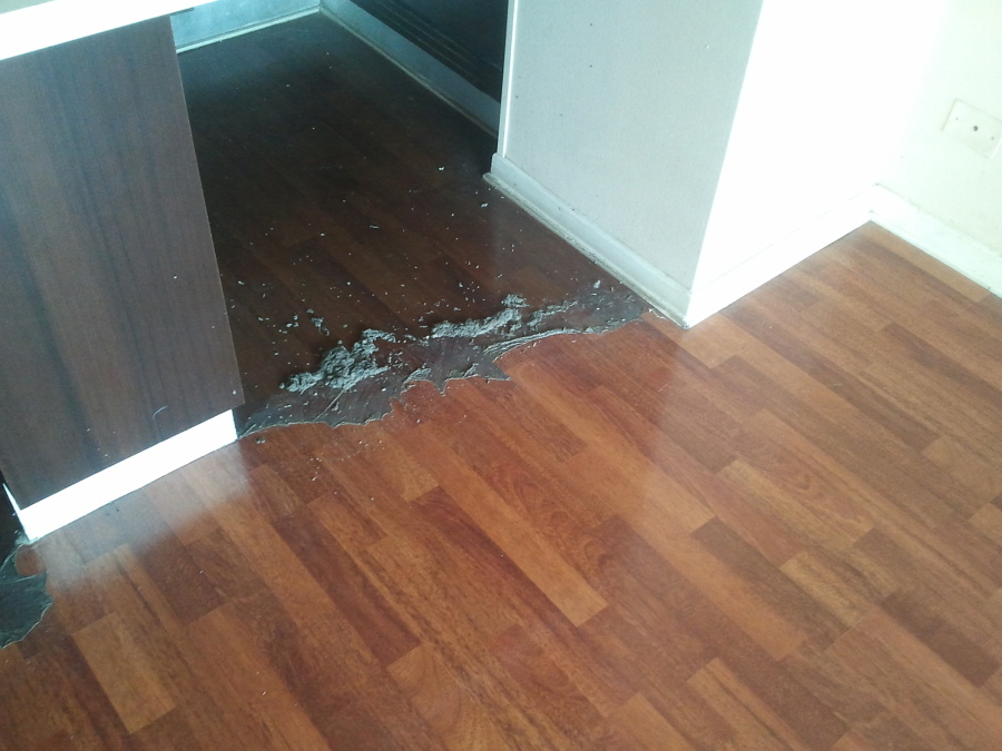 Pulido de Piso
