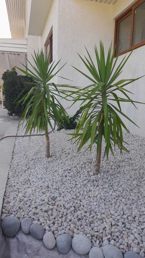 SIEMBRA DE PLANTAS E INSTALACIÓN DE PIEDRA CUARZO