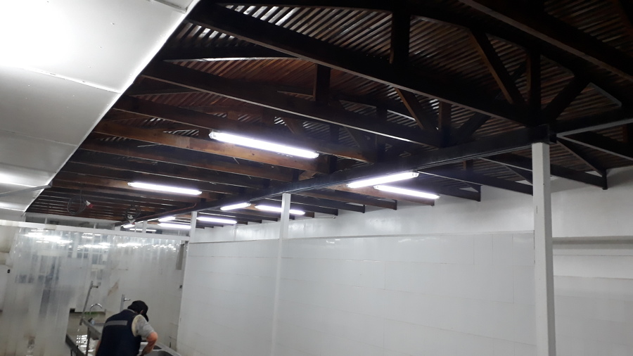 Restauración e Iluminaciòn de Techo Empalizado | Ideas Techos