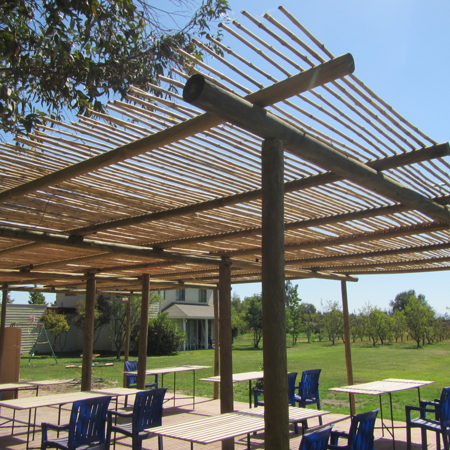 Terraza Techo