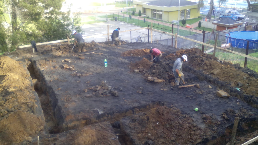 trabajamos desde la fundacion