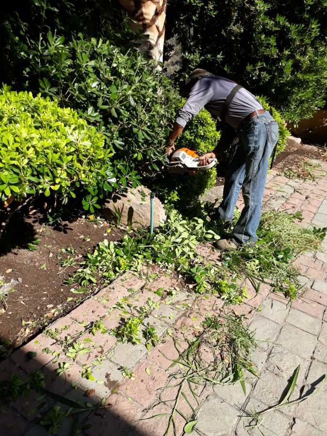 Trabajos realizados