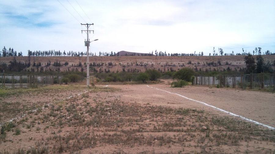 Trazado de calles