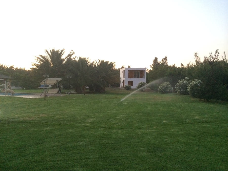 vista cabaña desde jardin