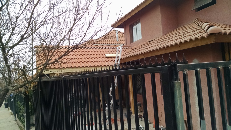 vista lateral