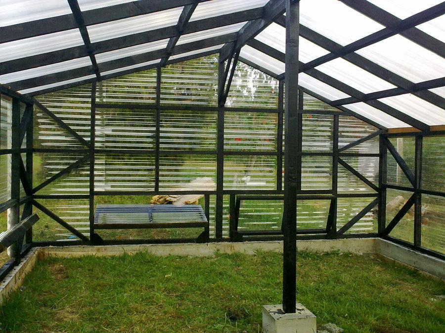 Vivero Fundación Senda Darwin. Ancud. Chiloé