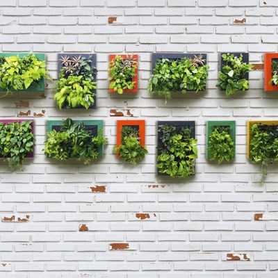 5 pasos para tener tu huerto urbano