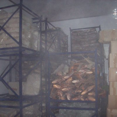 Construcción de sede Alimentos Congelados El Galeón