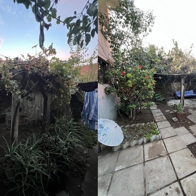 SERVICIOS DE JARDINERIA, LIMPIEZA Y DESMALEZADO