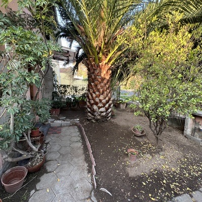 SERVICIOS DE JARDINERIA, LIMPIEZA Y DESMALEZADO