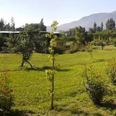 Jardinería exterior