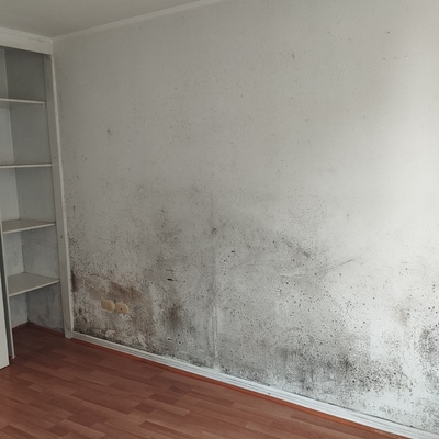 Pintura interior y cambio de piso flotante