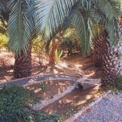 Mantención mensual de parcela – Comunidad La Aurora, Curacaví