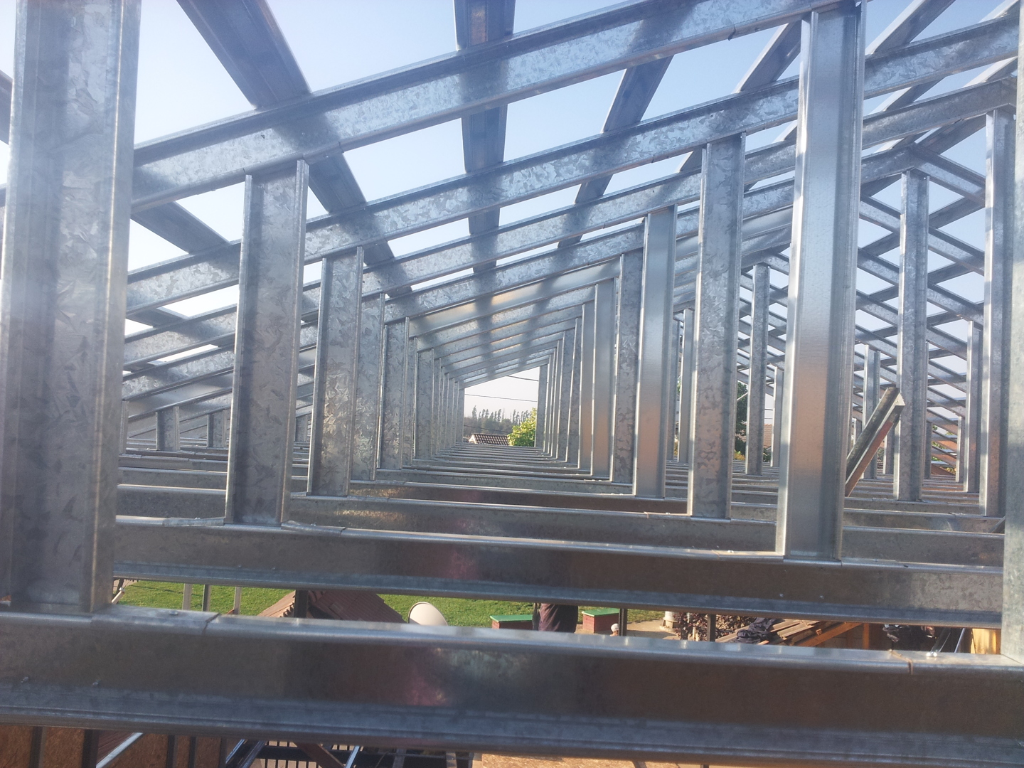 celchas en su fijacion