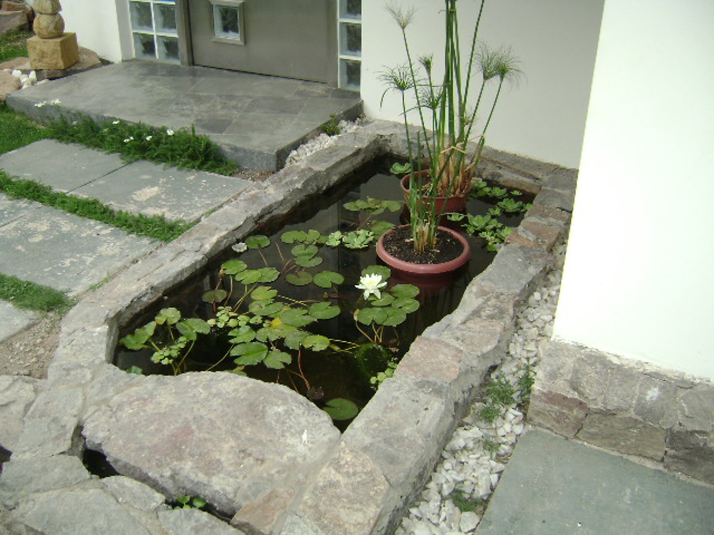 Construcción Casa Jequier