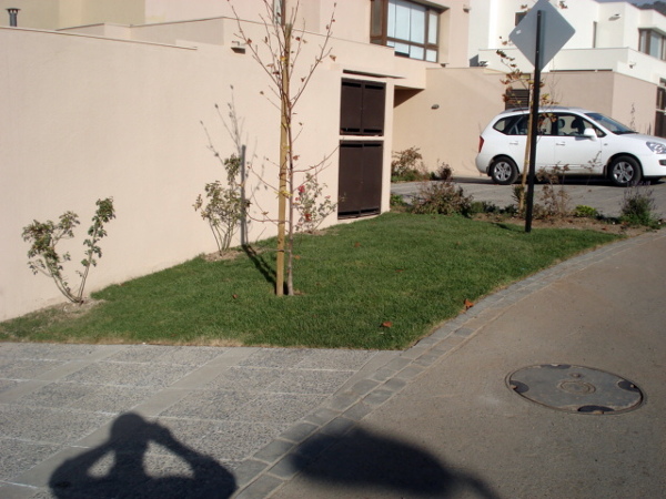 Frontis de la Casa con pasto