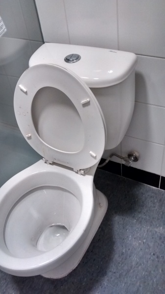 Instalación de Wc descarga a piso