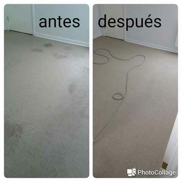 Lavado alfombra muro a muro