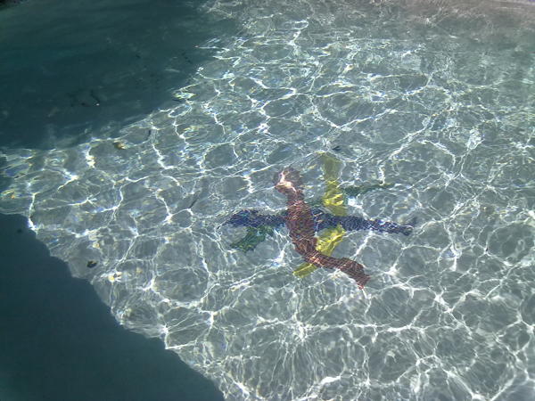 LOGOTIPO A PEDIDO CON DIAMOND BRITE