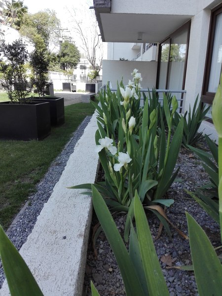 MANTENCIÓN DE JARDINES