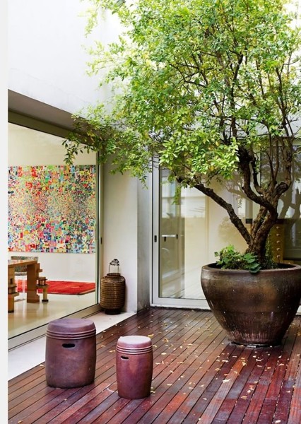 Foto: Patio Interior #161991 - Habitissimo